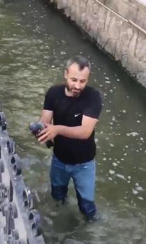 Su kanalına düşen yaralı güvercini kurtarıp, 'Boncuk' ismini verdi