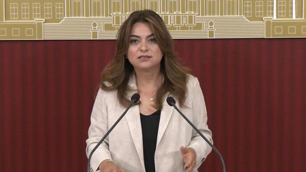 DEM Parti'li Koçyiğit: Çerçeve yasanın Meclis kapanmadan çıkacağına dair bilgiyi teyit edebilirim