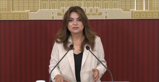 DEM Parti'li Koçyiğit: Çerçeve yasanın Meclis kapanmadan çıkacağına dair bilgiyi teyit edebilirim