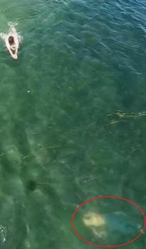 Boğulma tehlikesi geçiren kişi yeri dronla tespit edilip, kurtarıldı