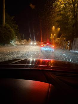 Sakarya'da milyonlarca kelebeğin ölüm dansı
