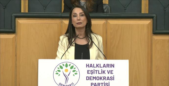 DEM Parti'li Hatimoğulları: Çerçeve yasa mutabakatla çıkmalı