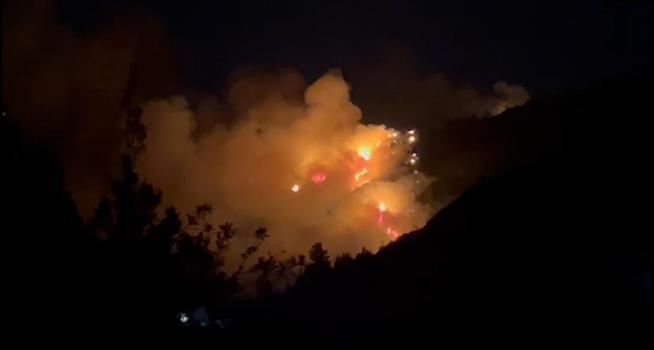 Antalya'da orman yangını (3)