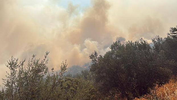 Çanakkale'de arazi yangını