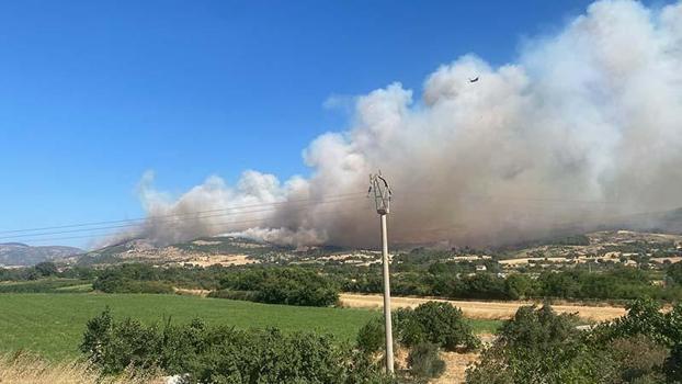 Çanakkale'de orman yangını