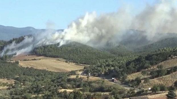 Çanakkale'de, Bayramiç’te de orman yangını çıktı