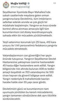 Muğla’da orman yangını (8)