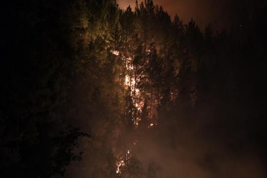 Alanya'da orman yangını / Ek Fotoğraflar (3)