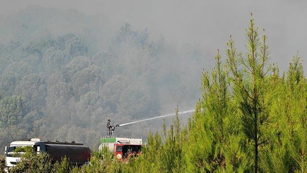 Balıkesir Gömeç'teki yangın 2'nci gününde