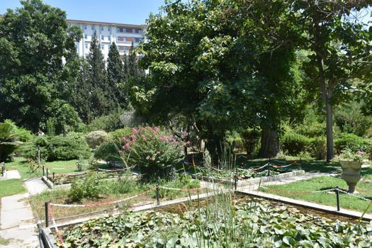 'Canlıların yaşayabileceği tampon bölgelerin kaybolduğunu görüyoruz'