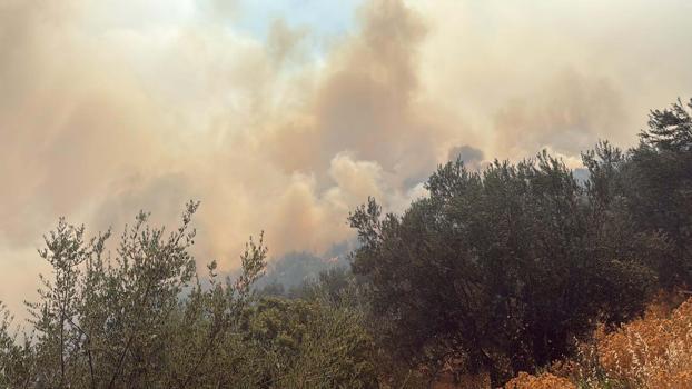 Çanakkale Ayvacık'taki yangın kontrol altına alındı