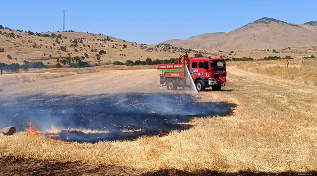 Yangında 200 dekar kül oldu