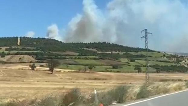 Balıkesir Susurluk’ta orman yangını