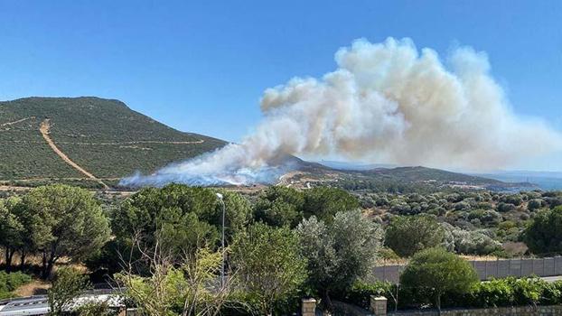 İzmir Foça'da orman yangını