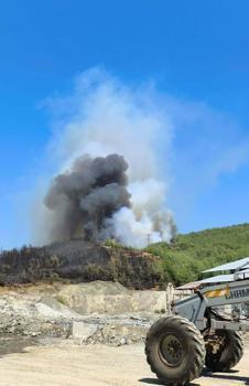 Muğla'daki yangınlarda 5 bin hektardan fazla alan zarar gördü (4)