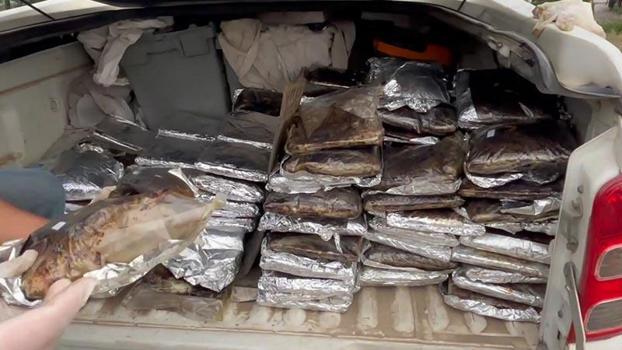 Samsun'da 132 kilo toz esrar ele geçirildi; 1 gözaltı