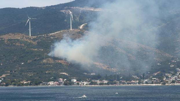 Erdek'te orman yangını