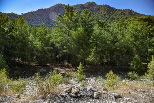 Yasağa rağmen ‘ormanda mangal' duyarsızlığı