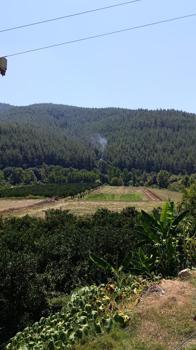 Sumbas'ta orman yangını söndürüldü