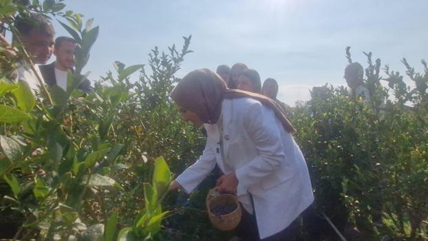 Bakan Göktaş açıkladı, şehit aileleri ve gazilere yönelik haklar genişliyor (2)
