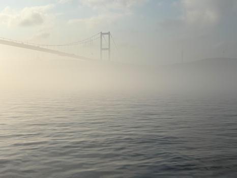 İstanbul Boğazı sis nedeniyle transit gemi geçişlerine kapatıldı - 1