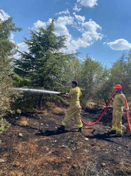 Isparta'da orman yangını büyümeden kontrol altına alındı