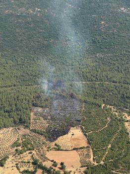 Muğla'da orman yangını (2)