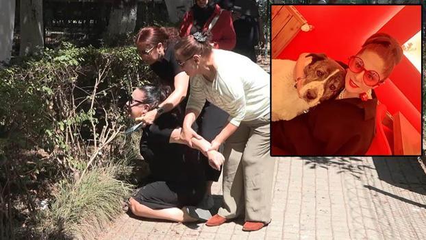 Esenyurt'ta 10 yıldır baktığı köpeği barınakta ölü buldu, sinir krizi geçirdi