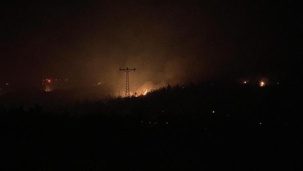 Çanakkale'de otluk alanda çıkan yangın ormana sıçradı (2)