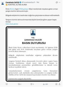 Çanakkale'de otluk alanda çıkan yangın ormana sıçradı (3)