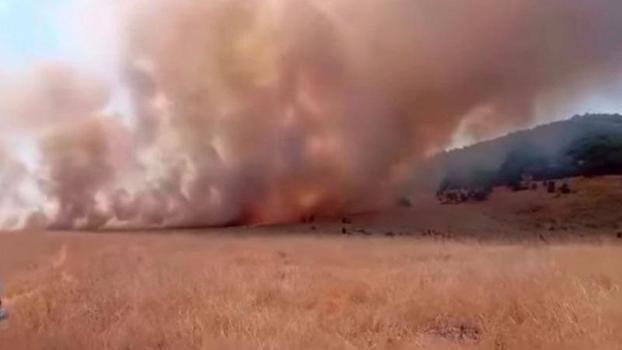 Tunceli'de ot yangını; alevlerin ormana sıçramaması için seferber oldular