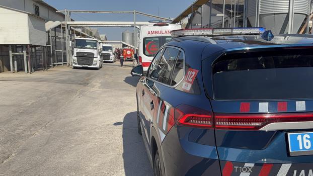 Bursa'da tavuk çiftliğinde yangın (2)