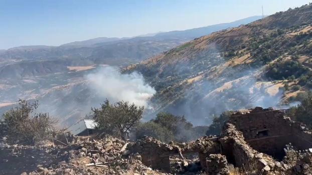 Malatya'da orman yangını