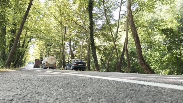 'Ağaç tünel yol'da seyrine doyumsuz manzara