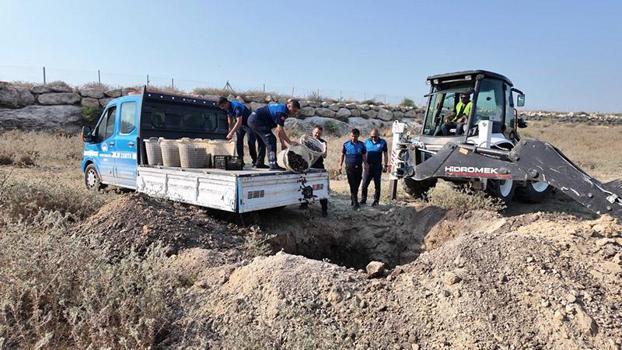 Mersin’de 200 kilo bozuk midye dolması ele geçirildi
