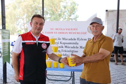 Muğla'da turunçgil üreticilerine 8 bin Akdeniz meyve sineği tuzağı