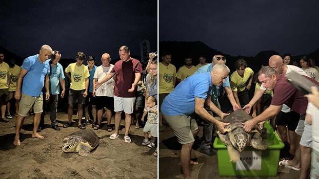 Tedavi edilen yaralı deniz kaplumbağası Kaan-19, 1 yıl sonra doğal yaşam ortamına bırakıldı