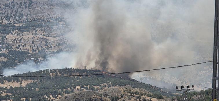 Adıyaman'da orman yangını