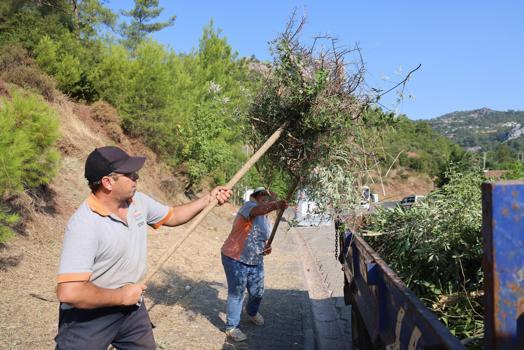 Marmaris'te yangın riskine karşı kapsamlı temizlik