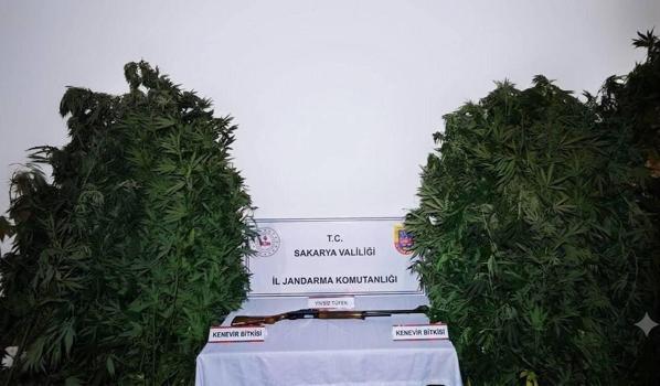Jandarmanın 2 ayrı uyuşturucu operasyonunda 3 tutuklama