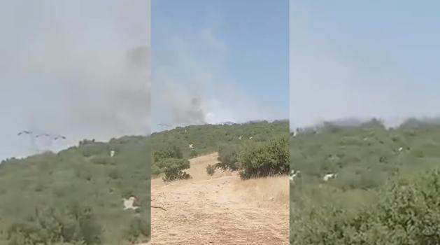 Adıyaman'da orman yangını