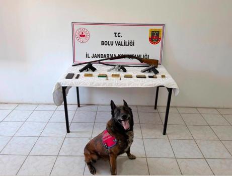 Evinde 3 tabanca ve ruhsatsız tüfek bulunan şüpheli tutuklandı