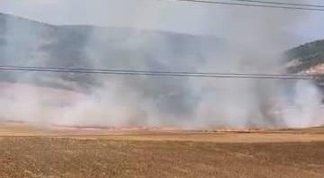 Bursa'da tarlayı ateşe verdiği öne sürülen şüpheli yakalandı