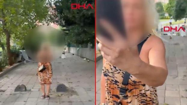 Bakırköy'de kedi kavgası; ruh ve sinir hastalıkları hastanesine yatırıldı