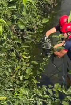 Ağaç dallarına takılan balıkçıl kuşunu itfaiye kurtardı