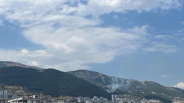 Kahramanmaraş'ta çıkan orman yangını söndürüldü