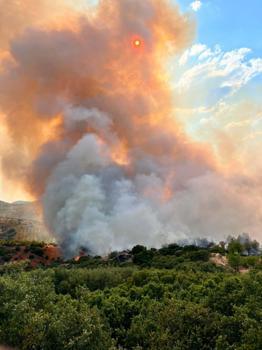 Manisa'da orman yangını