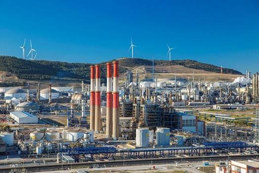 Petkim Genel Müdürü Mirzayev: Türkiye önemli fırsatlar sunuyor