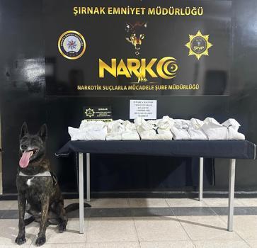 Şırnak’ta kaçakçılık ve uyuşturucu operasyonları: 1 tutuklama