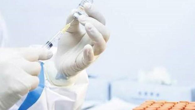 Nijerya'da difteri salgını nedeniyle 17 kişi hayatını kaybetti